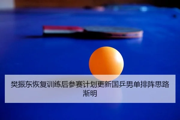 樊振东恢复训练后参赛计划更新国乒男单排阵思路渐明